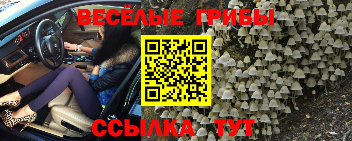 Пыть-Ях  Псилоцибиновые грибы Magic Shrooms  Вход с VPN 